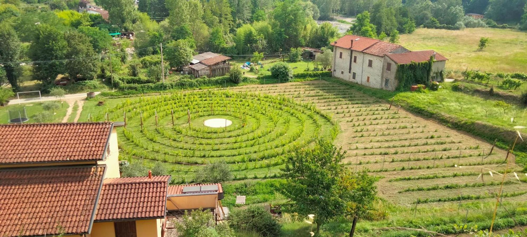 Agriturismo Il Poderetto Licciana Nardi Exteriér fotografie