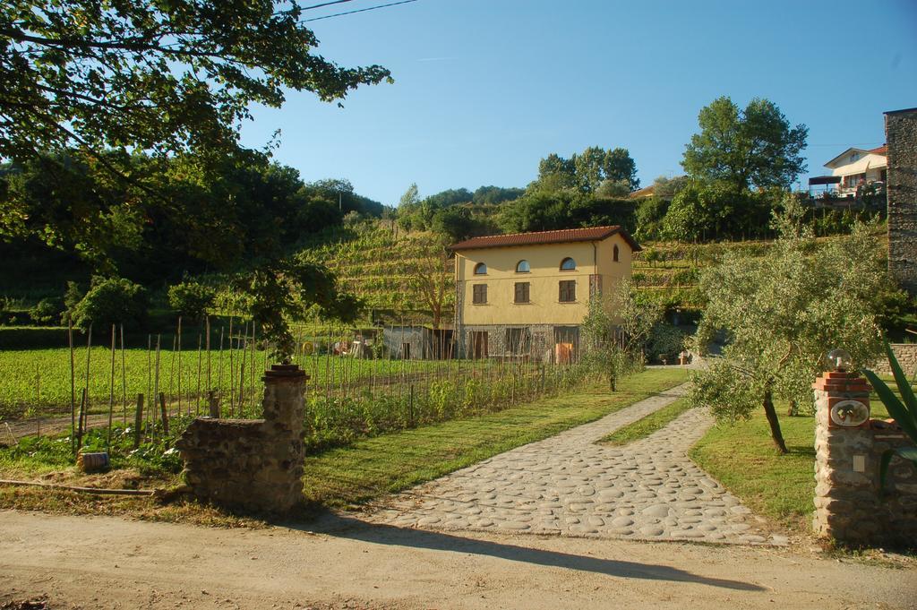 Agriturismo Il Poderetto Licciana Nardi Exteriér fotografie